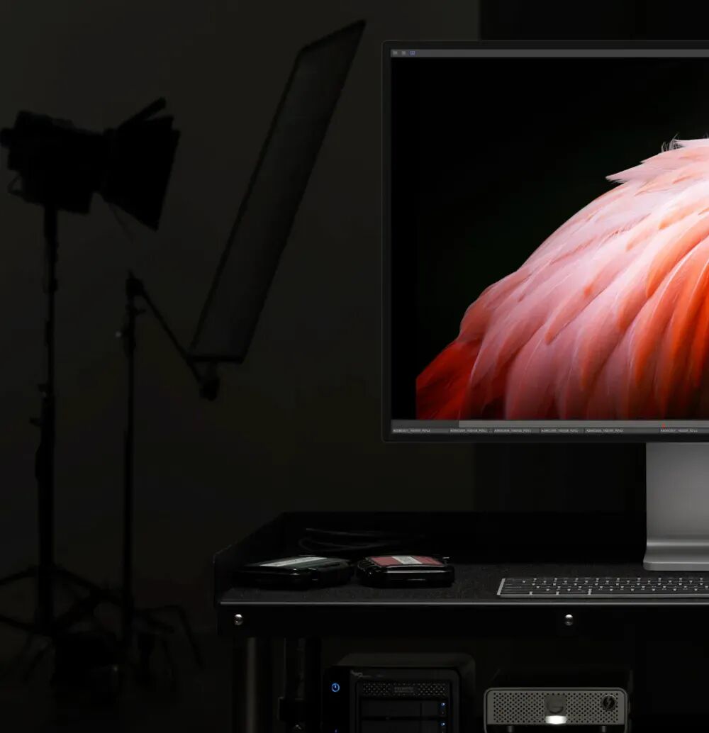 暗色调摄影工作台，显示器显示粉红色羽毛图像