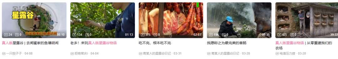 多个“真人版星露谷”主题视频的缩略图合集