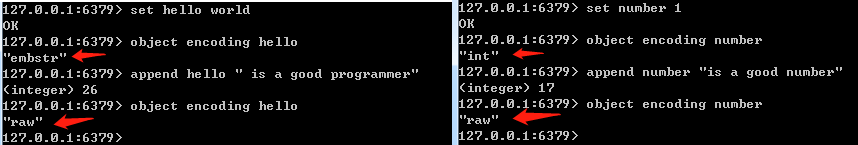 字符串编码变化示例