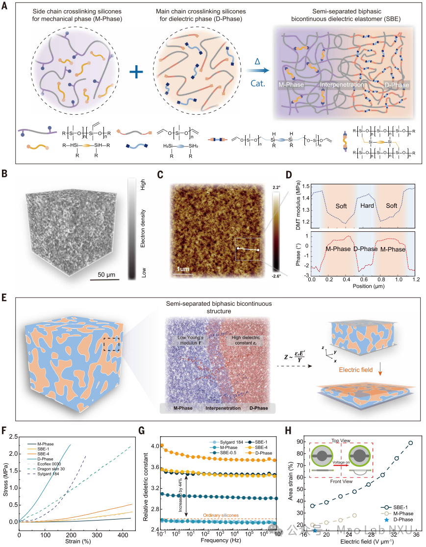 图1：半分离双相介电弹性体的结构设计与材料性能