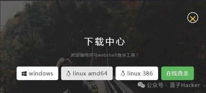 Windows应急响应工具实战指南：进程启动项排查与后门查杀 - 图片 - 34
