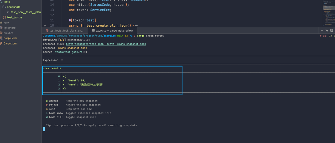 cargo insta review 交互审查界面