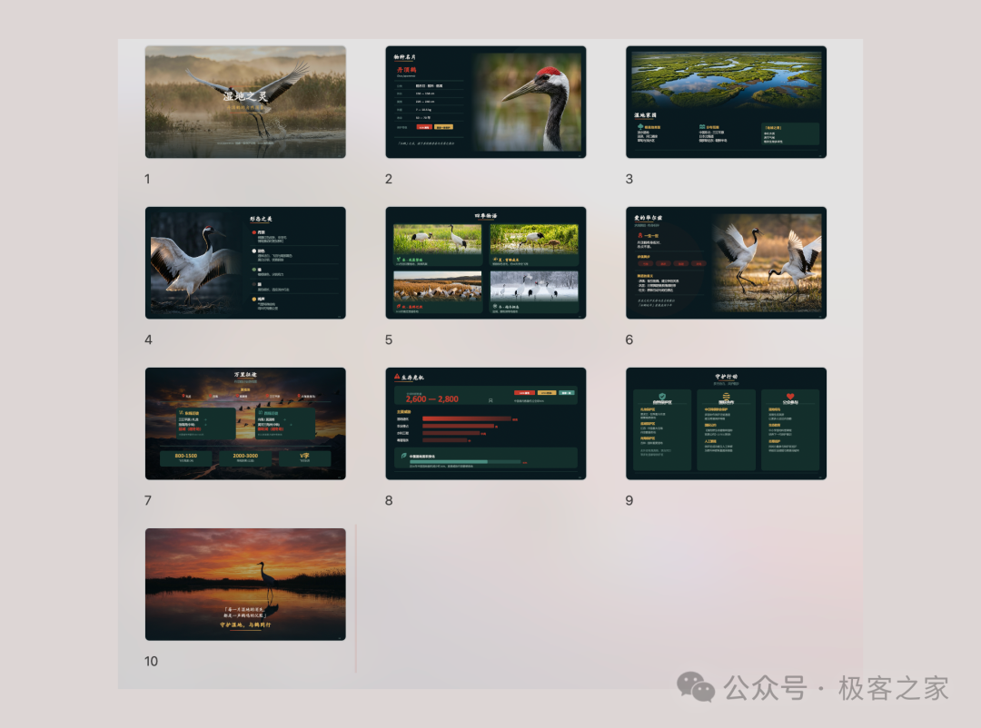 自然纪录片风格PPT示例，展示湿地生态与鸟类保护主题的深色界面设计