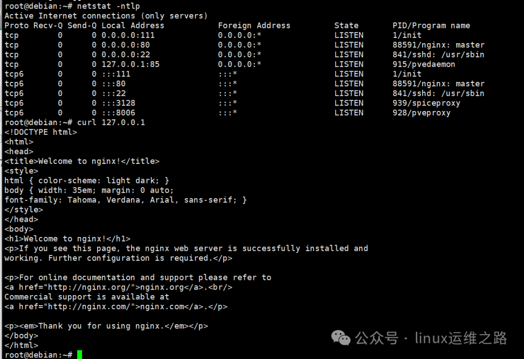 终端中使用netstat和curl验证Nginx安装