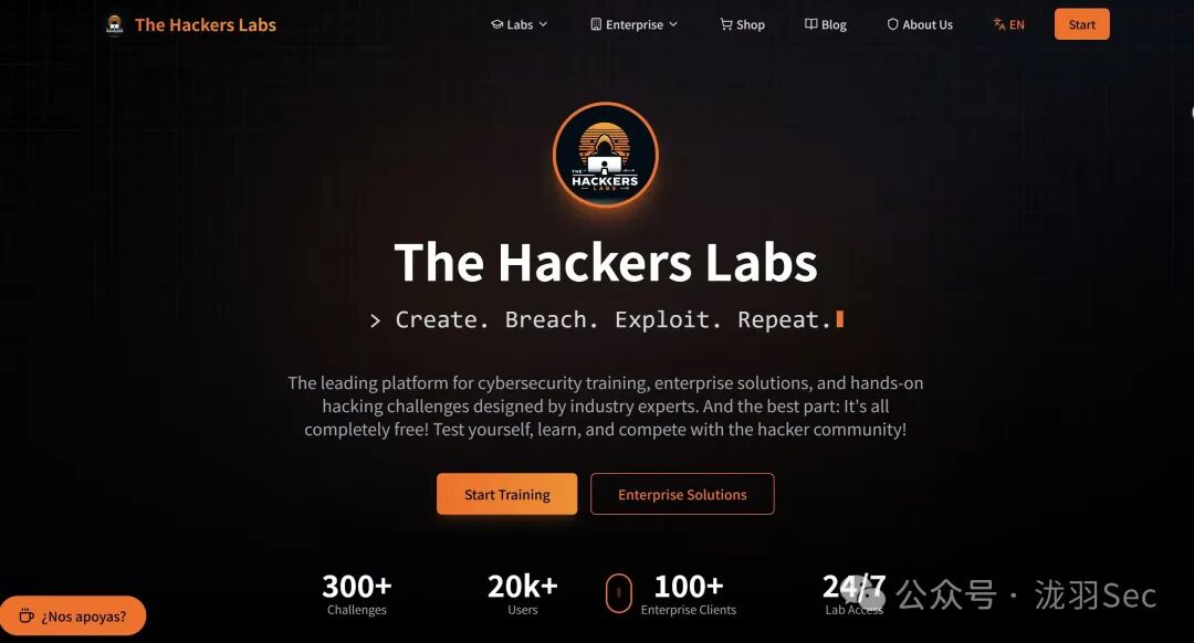 The Hackers Labs平台首页