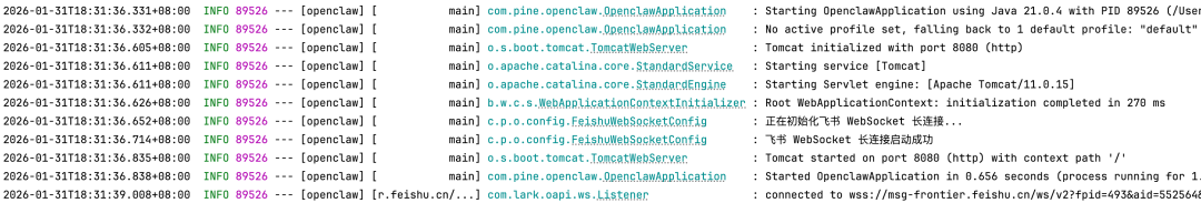 飞书WebSocket长连接成功建立日志