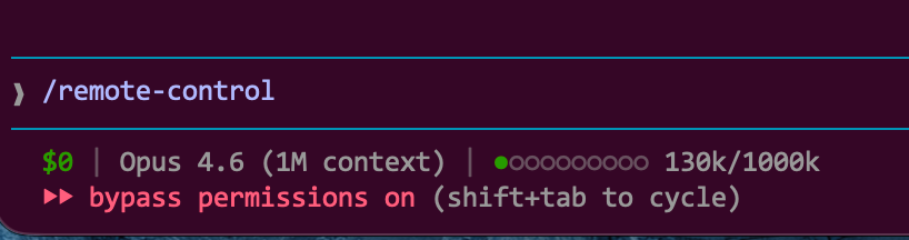 Remote Control终端启动界面