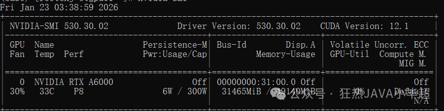 NVIDIA-SMI显示的GPU显存占用情况