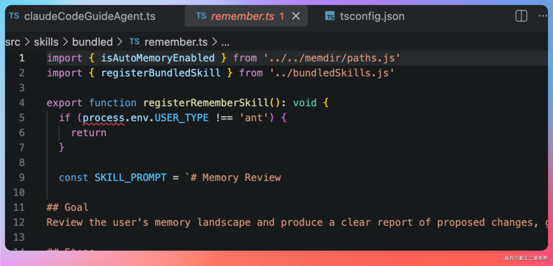 remember技能代码片段，包含USER_TYPE检查