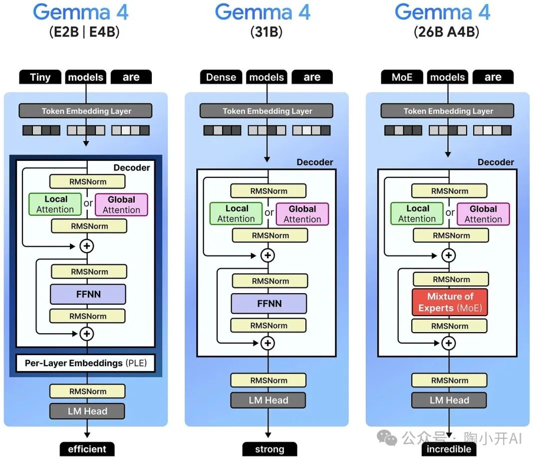 Gemma 4三种模型架构对比示意图