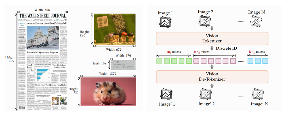 dNaViT接口:支持任意分辨率的视觉离散化处理