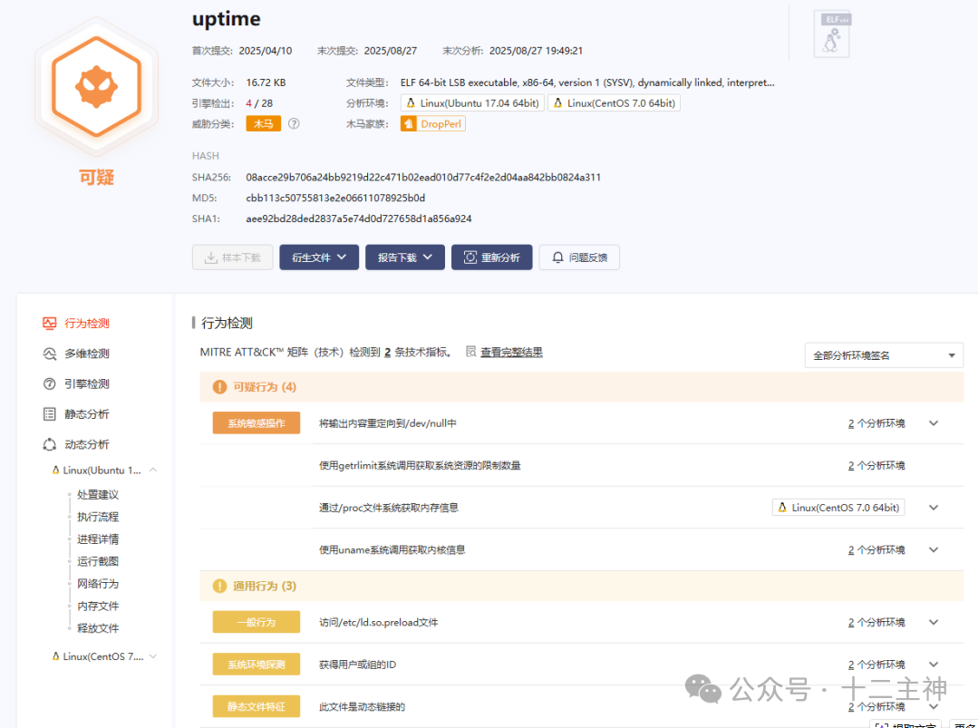 uptime文件的恶意行为分析报告