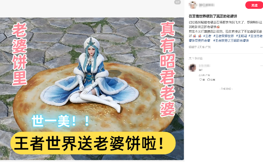 玩家恶搞图“老婆饼里真有昭君老婆”及社区帖子