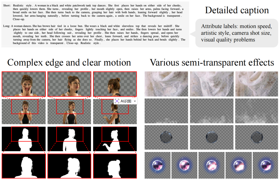 数据集样本示例