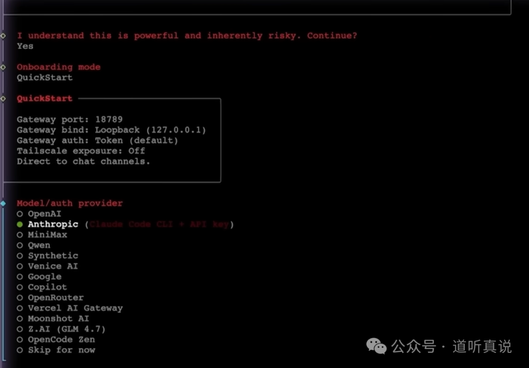 Moltbot交互式配置向导界面截图