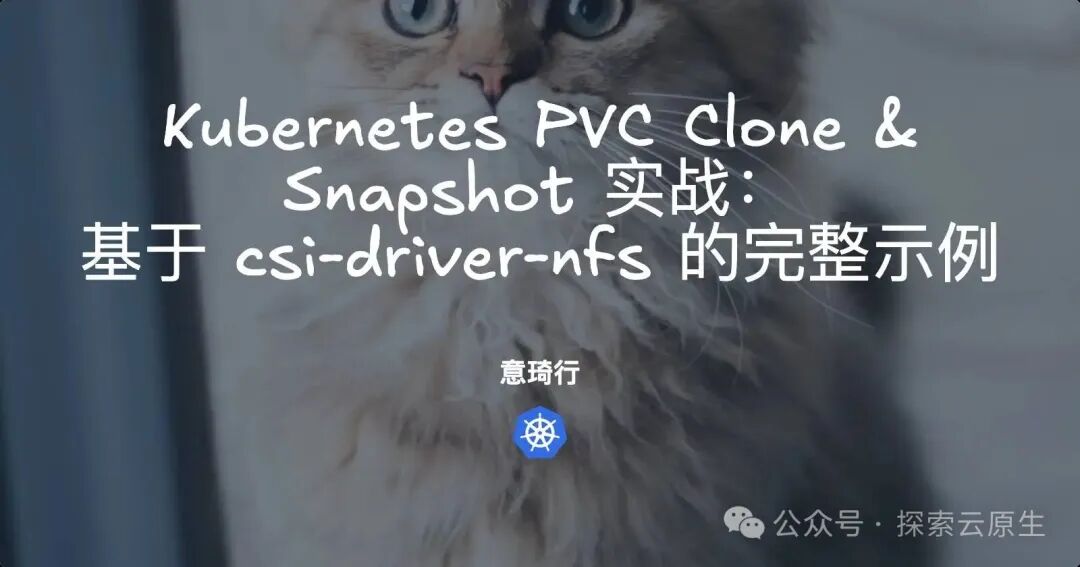 Kubernetes PVC Clone & Snapshot 实战示例图