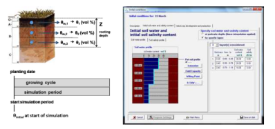 作物生长模型图