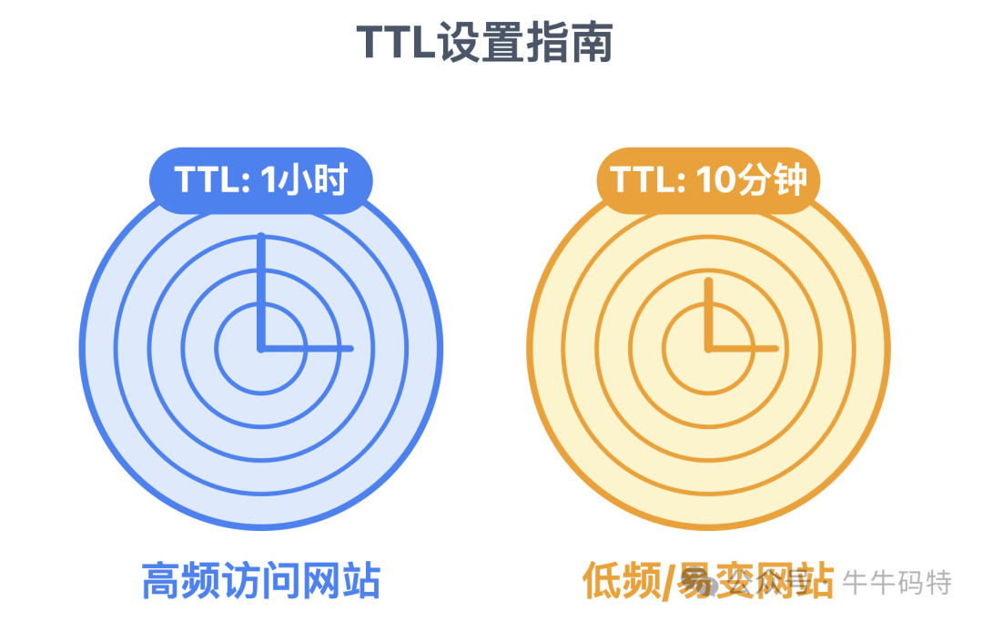 TTL设置指南：高频与低频网站不同时间设置