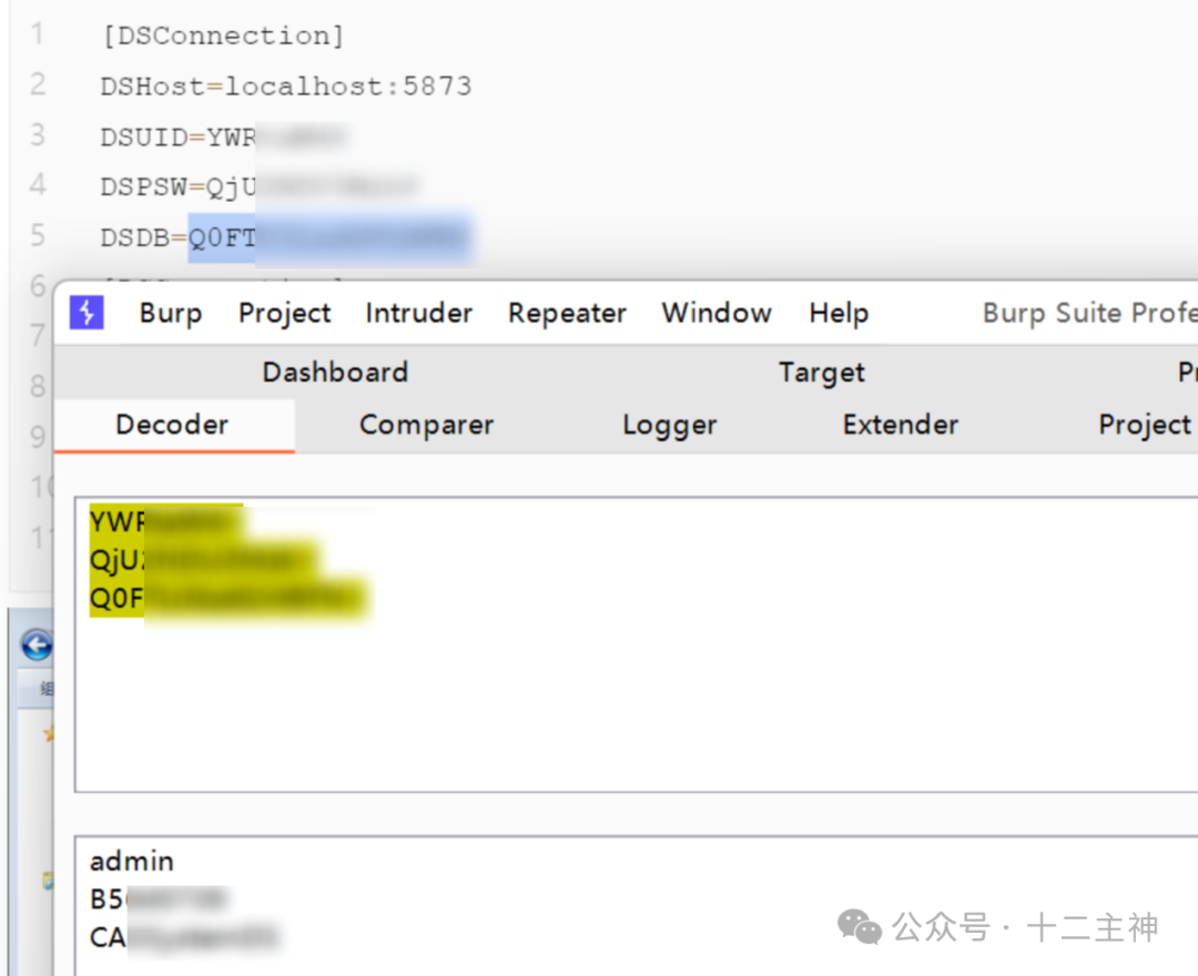 使用Burp Suite的Decoder模块对编码后的字符串进行解码