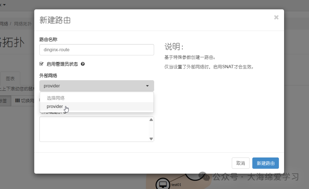 新建路由弹窗，路由名称“dinginx-route”，外部网络下拉框选中“provider”