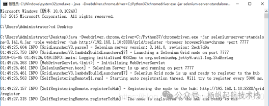Node 节点启动成功并注册到 Hub 的终端日志