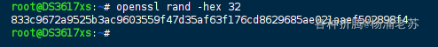终端执行 openssl rand -hex 32 生成随机密钥