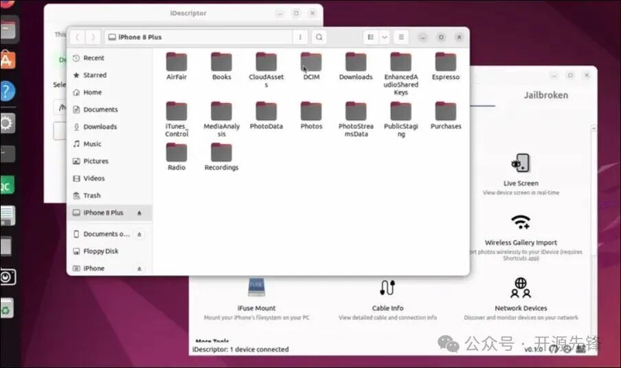 iDescriptor文件浏览器界面