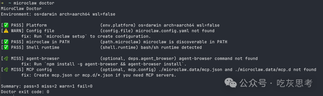 MicroClaw Doctor诊断结果