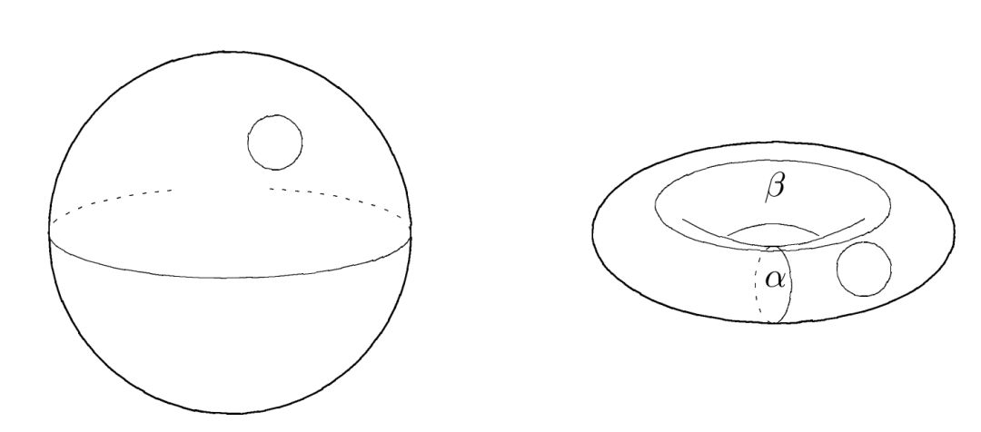 球面与环面几何结构对比示意图