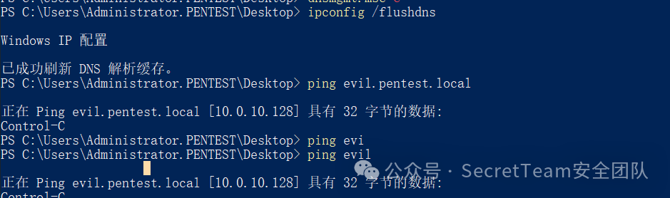刷新并验证DNS记录