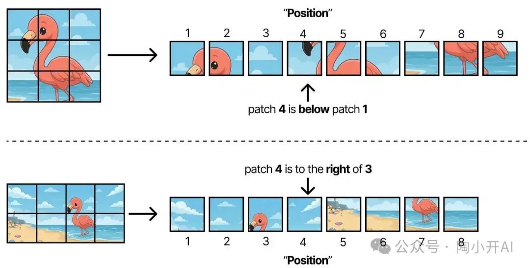 不同宽高比下图像块位置含义变化示意图