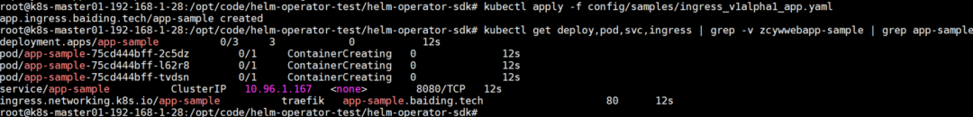 验证集群部署后的资源