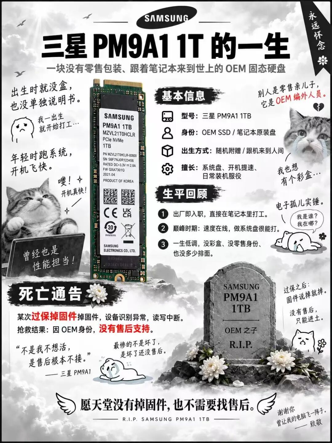 三星PM9A1 1TB OEM SSD掉固件生平纪念图
