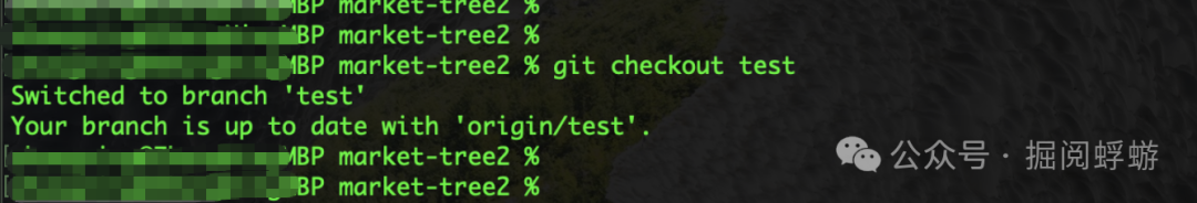 终端执行 git checkout test 命令，切换分支