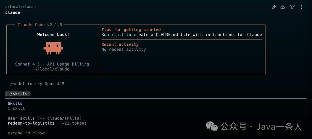 Claude Code /skills 命令输出界面，显示 1 个 user skill：redeem-to-logistics