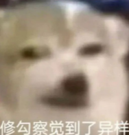 修勾察觉到了异样表情包