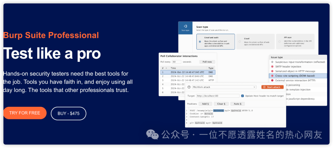 Burp Suite Professional 购买界面截图