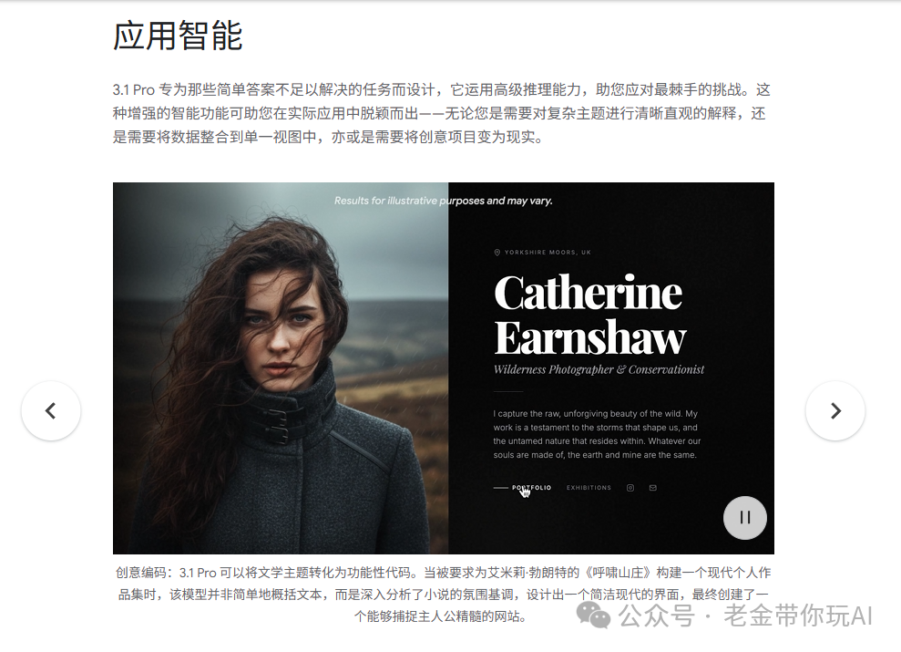 由 Gemini 3.1 Pro 生成的文学作品角色作品集网站