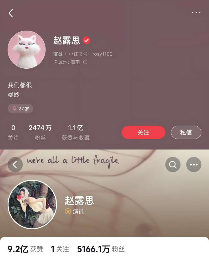 代言人赵露思的小红书主页