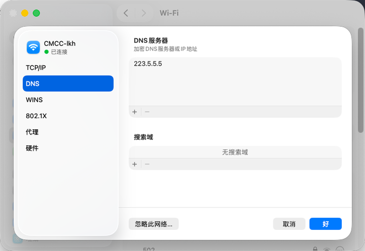 Mac系统网络设置中手动配置DNS服务器地址的界面