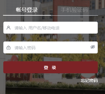 SSO单点登录系统登录界面