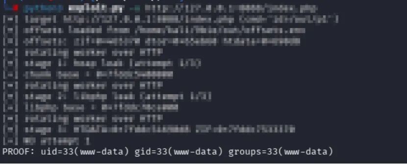 PHP2Shell漏洞复现终端输出截图