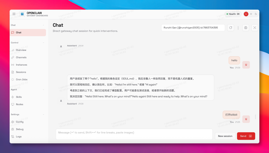 OpenClaw网关聊天界面截图