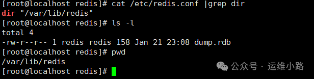查看Redis RDB文件存储目录与文件