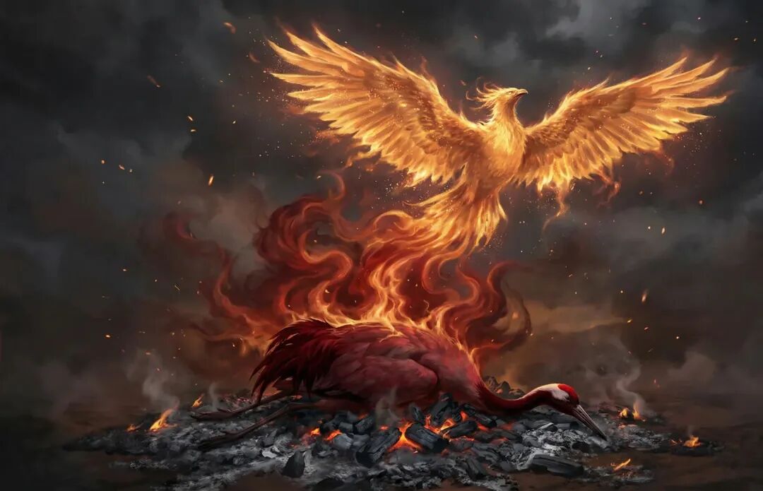 凤凰涅槃、浴火重生的艺术插画