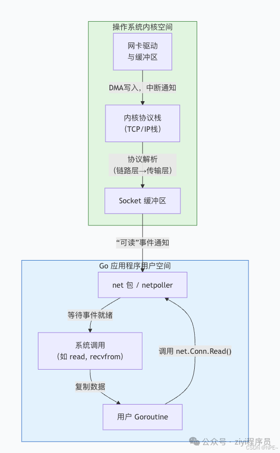 Go语言网络I/O与内核协议栈交互示意图