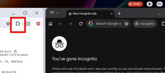 显示无痕模式与代码界面的截图