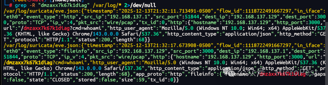 Suricata日志记录
