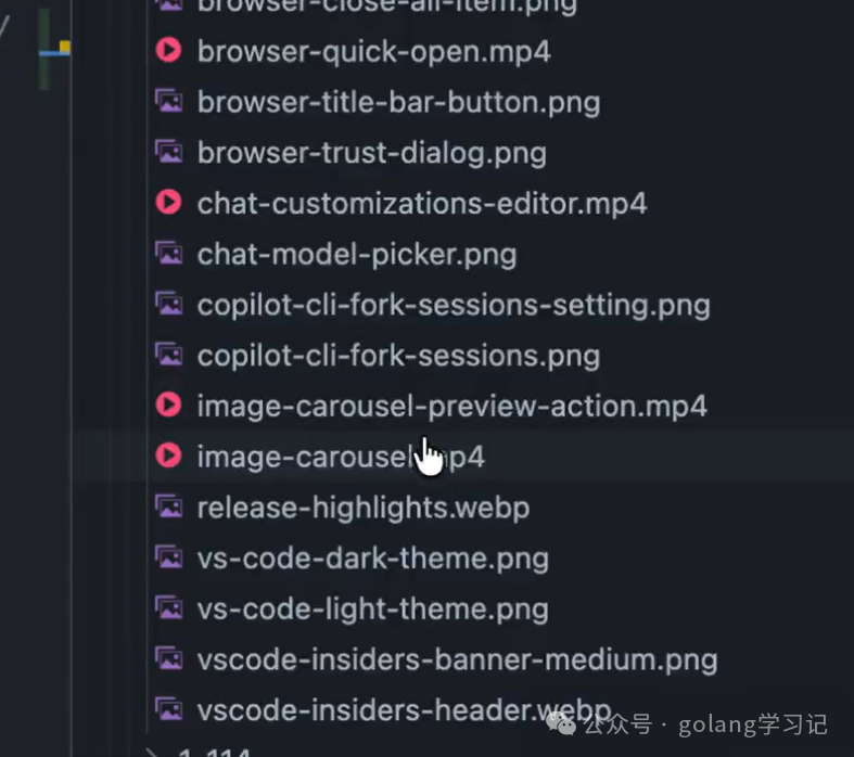 VS Code资源管理器显示视频文件列表