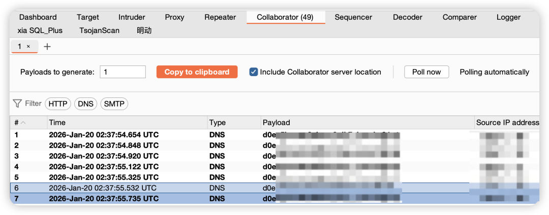Burp Collaborator接收到DNS查询记录